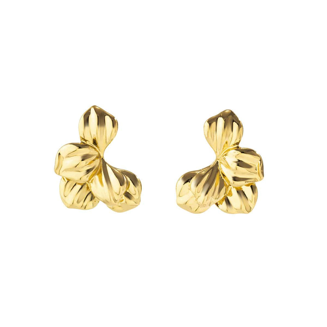 solovedress Women's Stylish Earrings